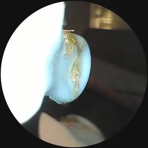 Review by Sigurður Páll